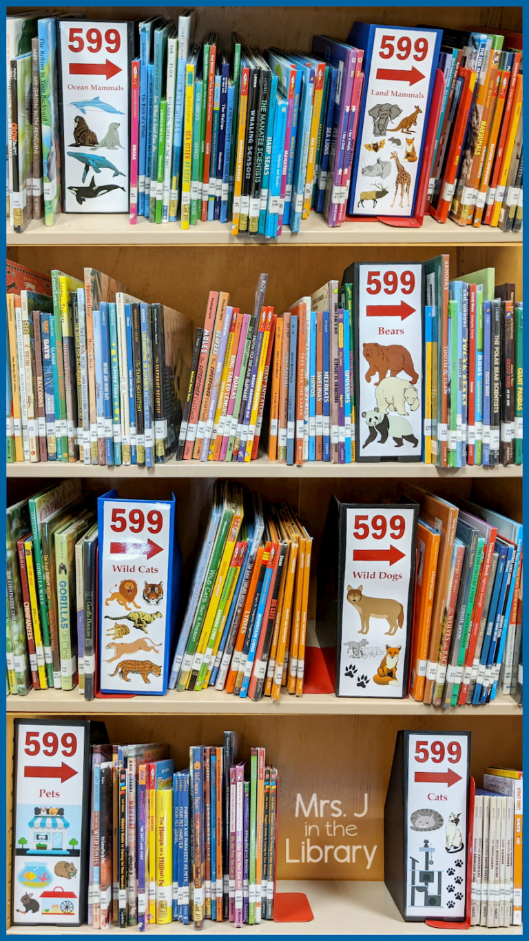 nonfiction-whole-number-dewey-signs-alphabet-letters-library-shelf