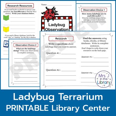Collage of the Ladybug Research Notebook booklet showing 4 different pages for observation, research questions & answers, and resources cited.